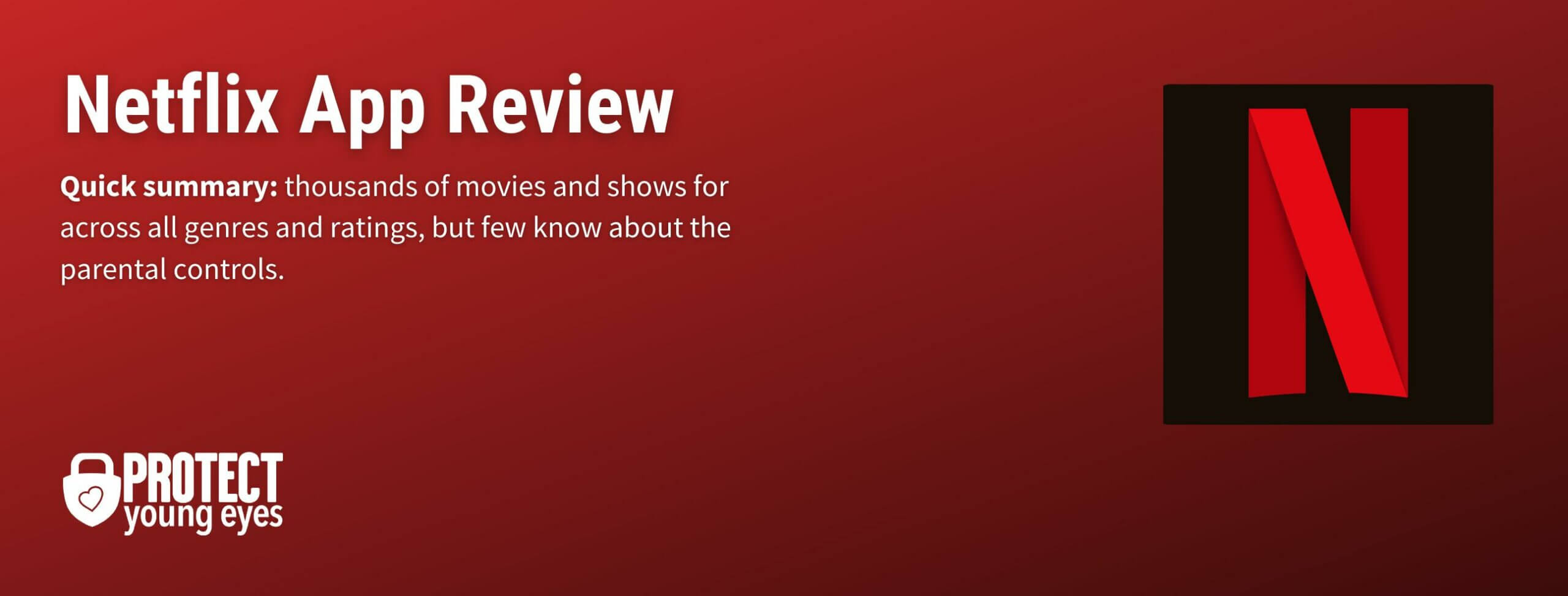 Netflix - Header Image