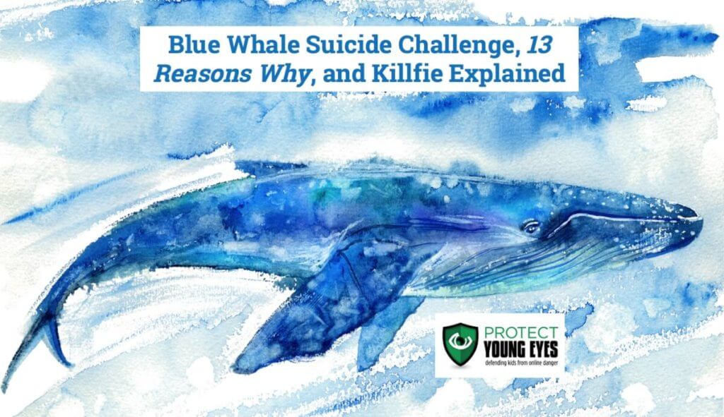 Blue Whale Challenge